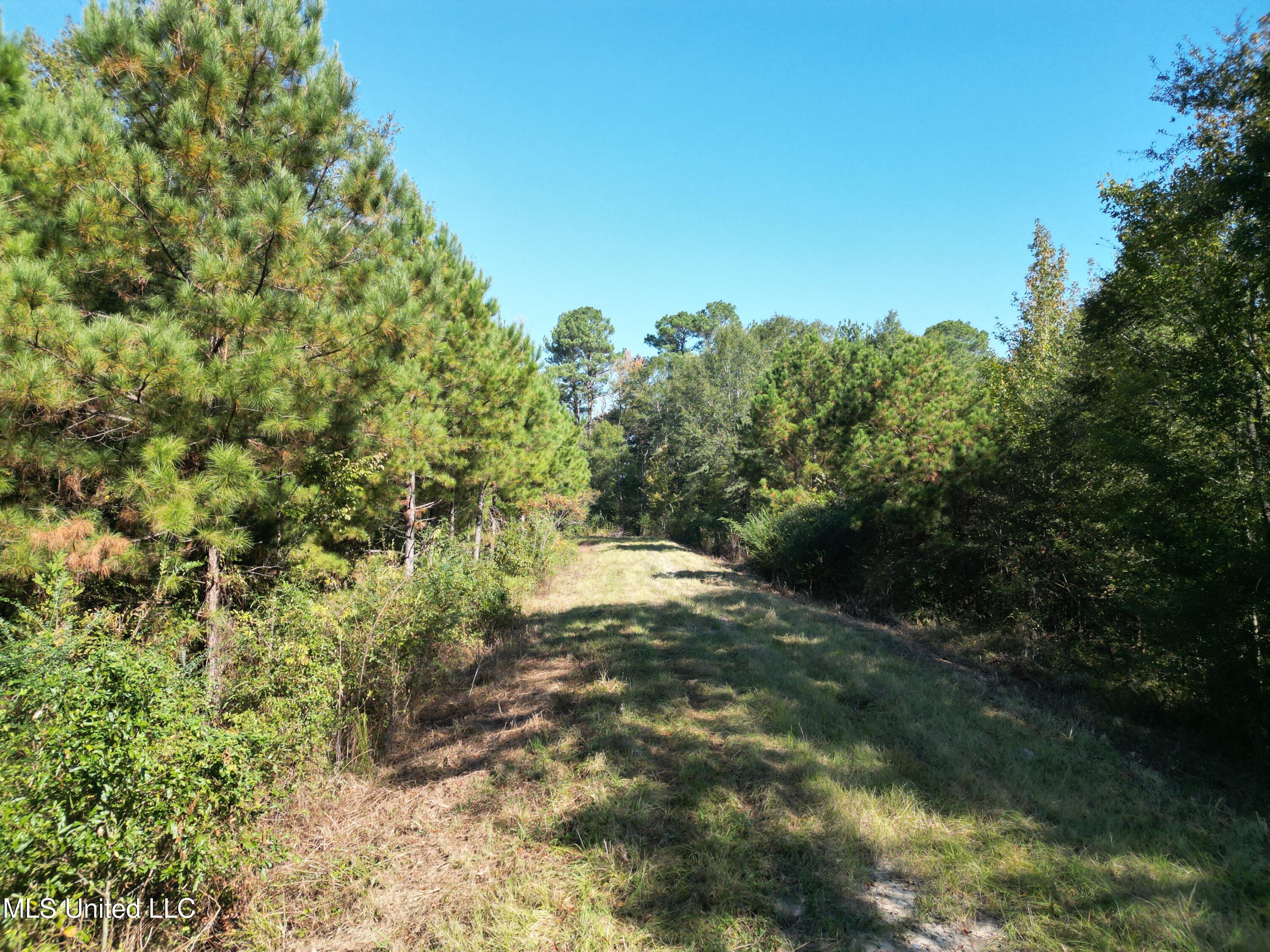 1844 Swamp Road Carthage, MS 39051 - Photo 10 of 29 10