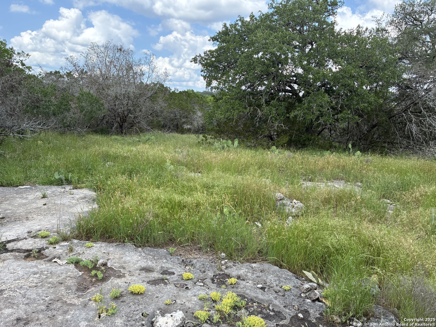 187 Bluff View Drive Spring Branch, TX 78070 - Photo 3 of 7 a view of a yard with a tree