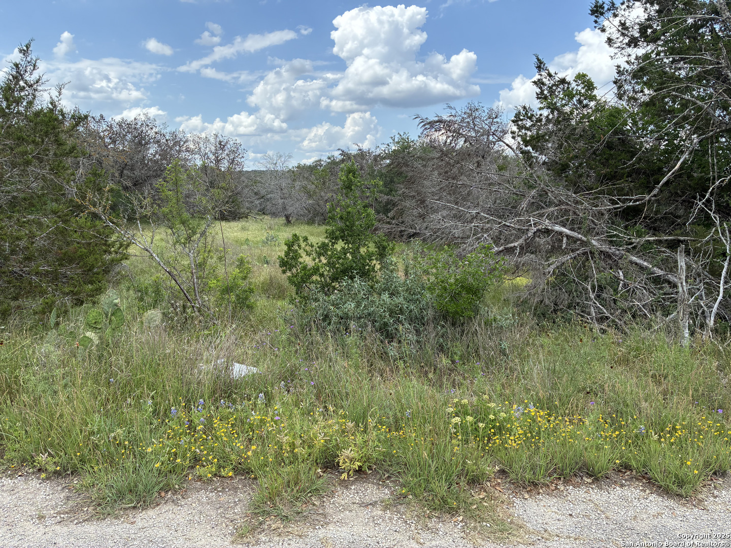 187 Bluff View Drive Spring Branch, TX 78070 - Photo 5 of 7 a view of a city lush green forest