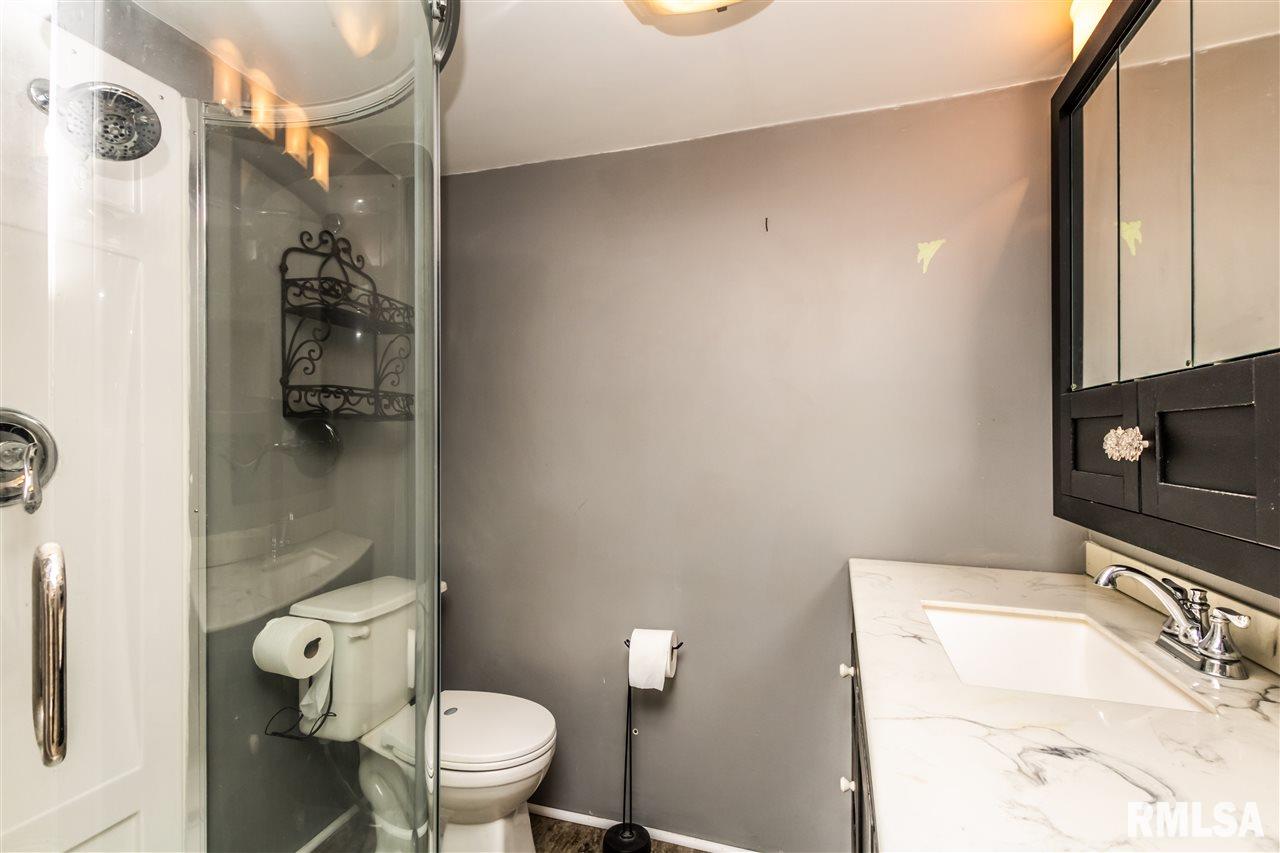 21295 Tullamore Road Delavan, IL 61734 - Photo 20 of 33