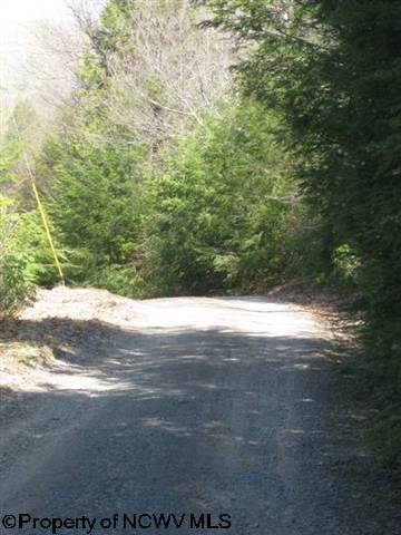Lot 1 Whites Run Road Whitmer, WV 26296 - Photo 4 of 4 Gallery Image 4