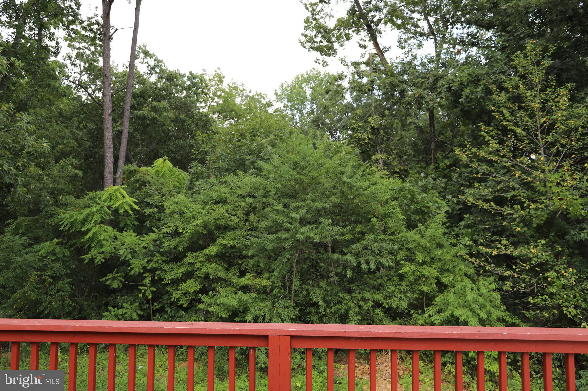 14459 Norman Road Culpeper, VA 22701 - Photo 22 of 23 a view of a small yard