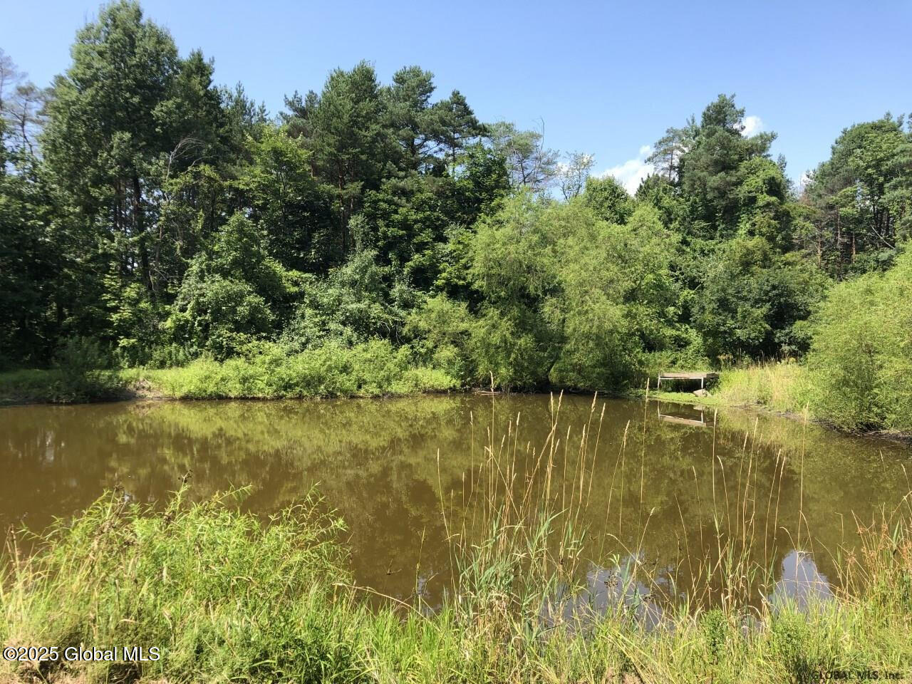 76 Ashdown Road Clifton Park, NY 12019 - Photo 2 of 3 20211118082604730020000000-o