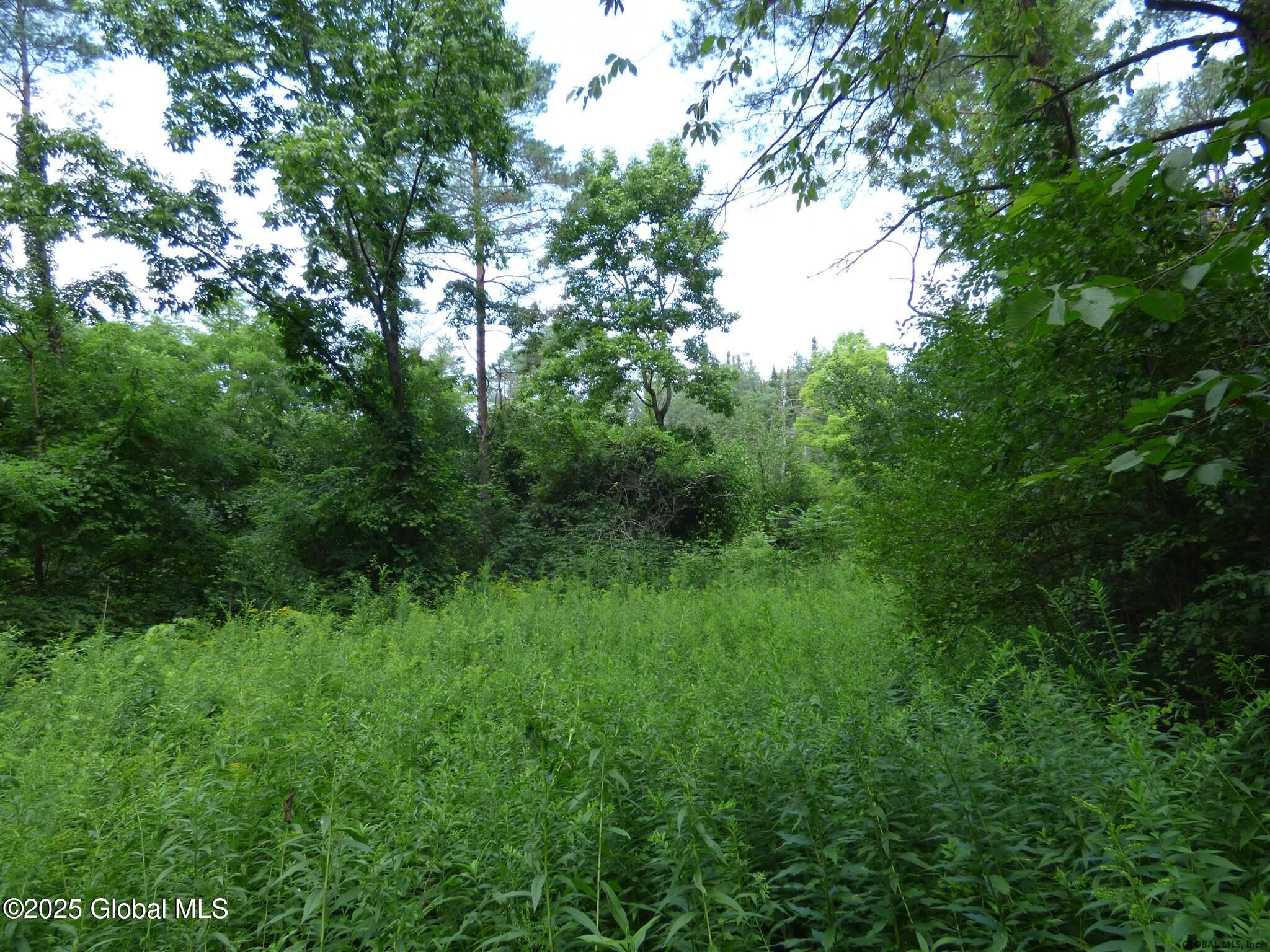 76 Ashdown Road Clifton Park, NY 12019 - Photo 3 of 3 20211118082603173749000000-o