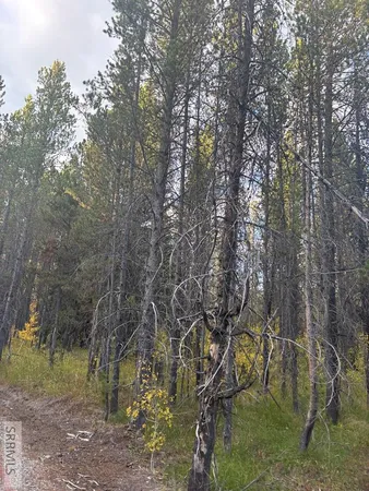 $214,900 | 4063 Wood Lane, Island Park, ID 83429