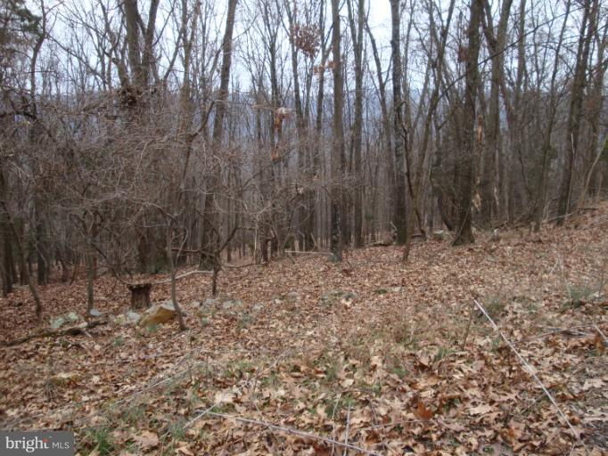 133 Mountain Falls Road Winchester, VA 22602 - Photo 14 of 20 View