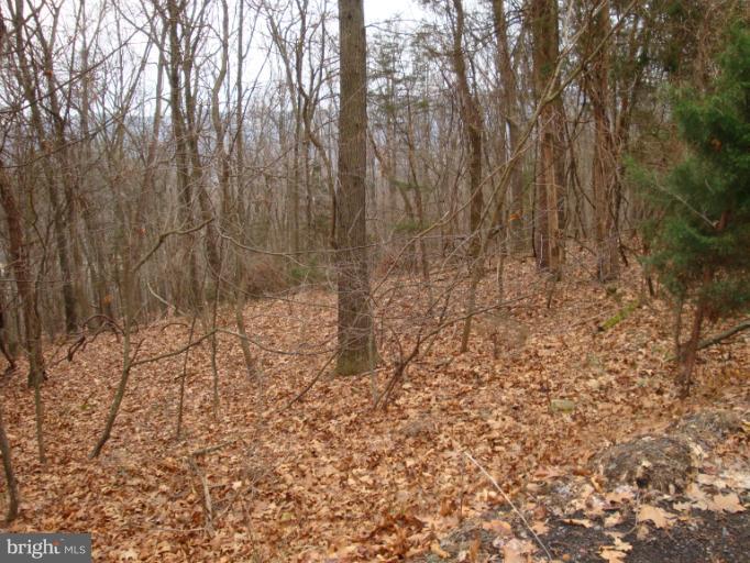 133 Mountain Falls Road Winchester, VA 22602 - Photo 15 of 20 View