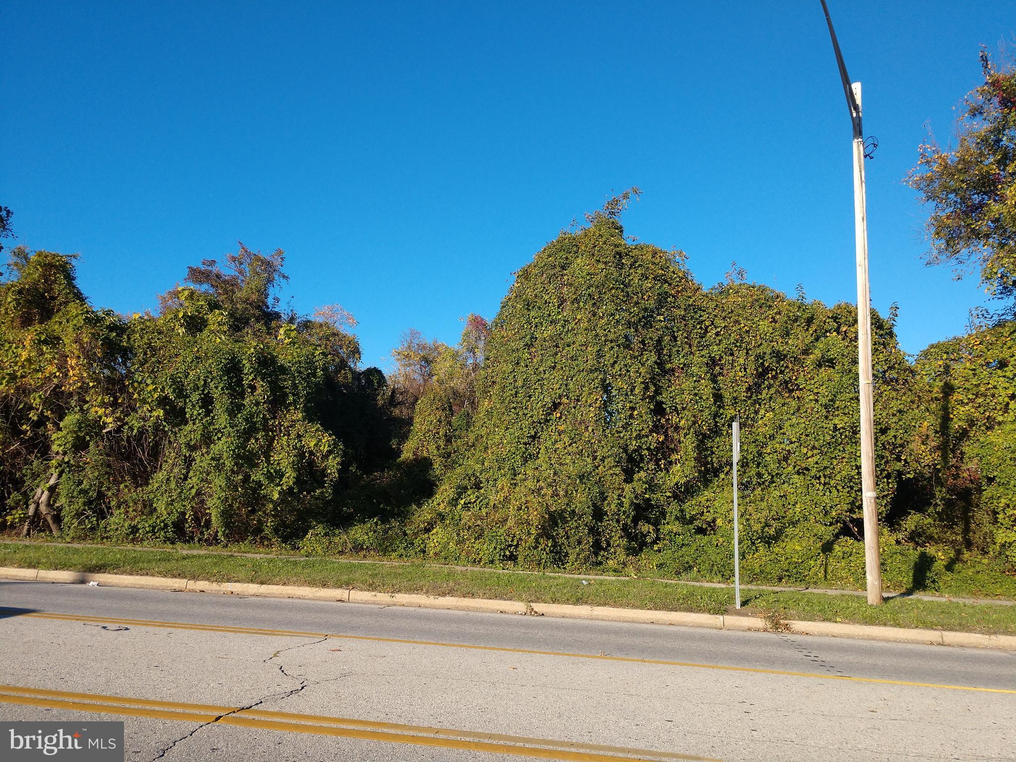 Lansdowne Halethorpe, MD 21227 - Photo 2 of 2 a view of a garden