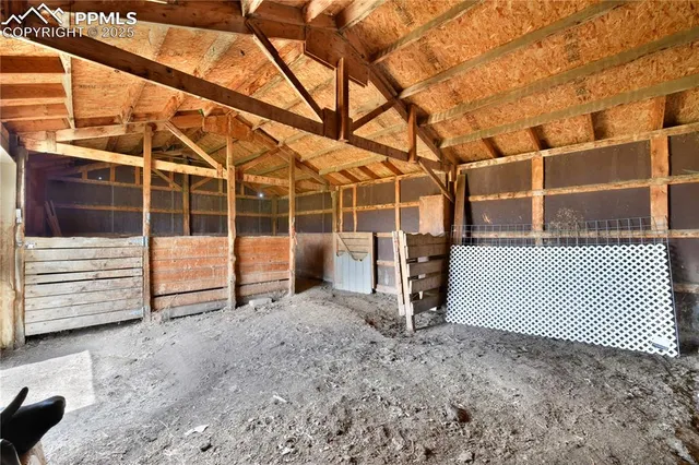 a view of a backyard with a tree