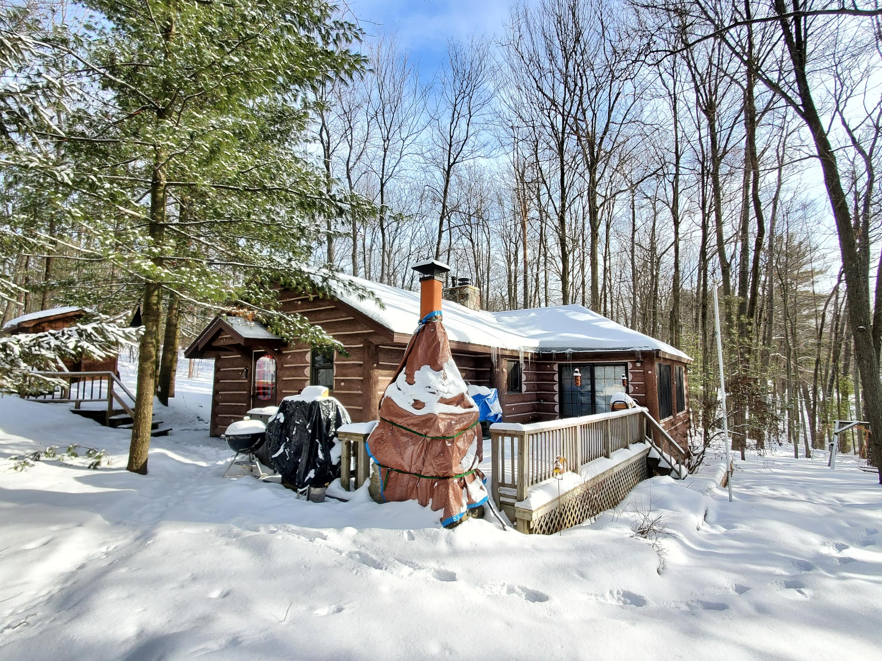 161 Loon Lake Loop Road Rose City, MI 48654 - Photo 2 of 69 Gallery Image 2