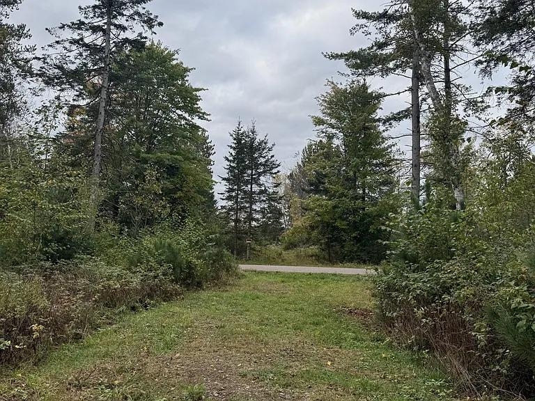 Lot 4 Pine Shore Lane Rhinelander, WI 54501 - Photo 1 of 1 Gallery Image 1