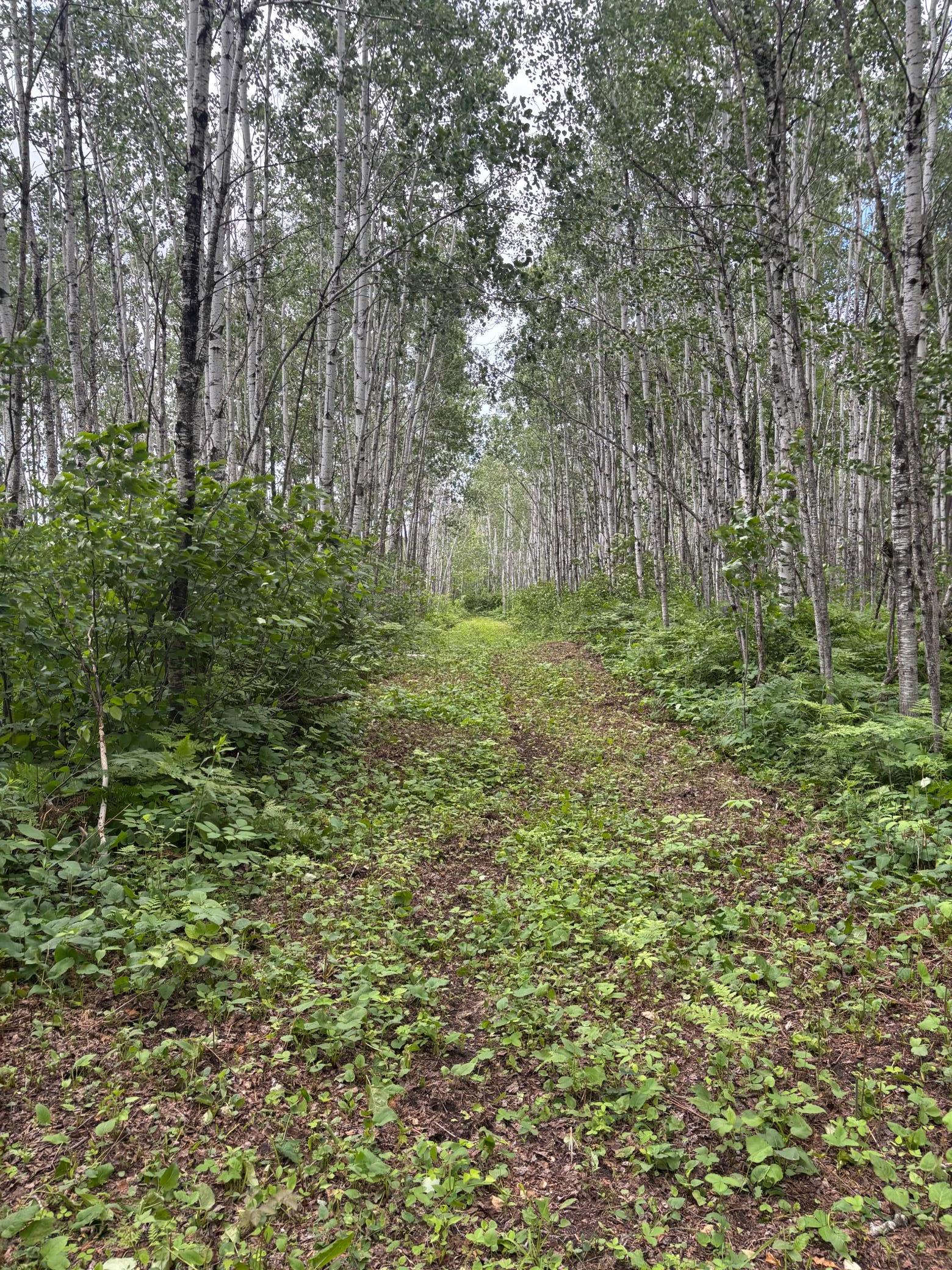 10750 Groningen Road Sandstone, MN 55072 - Photo 10 of 12