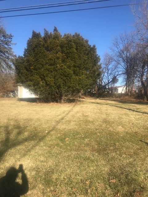 860 Bode Road Elgin, IL 60120 - Photo 2 of 2 a view of yard with ocean view