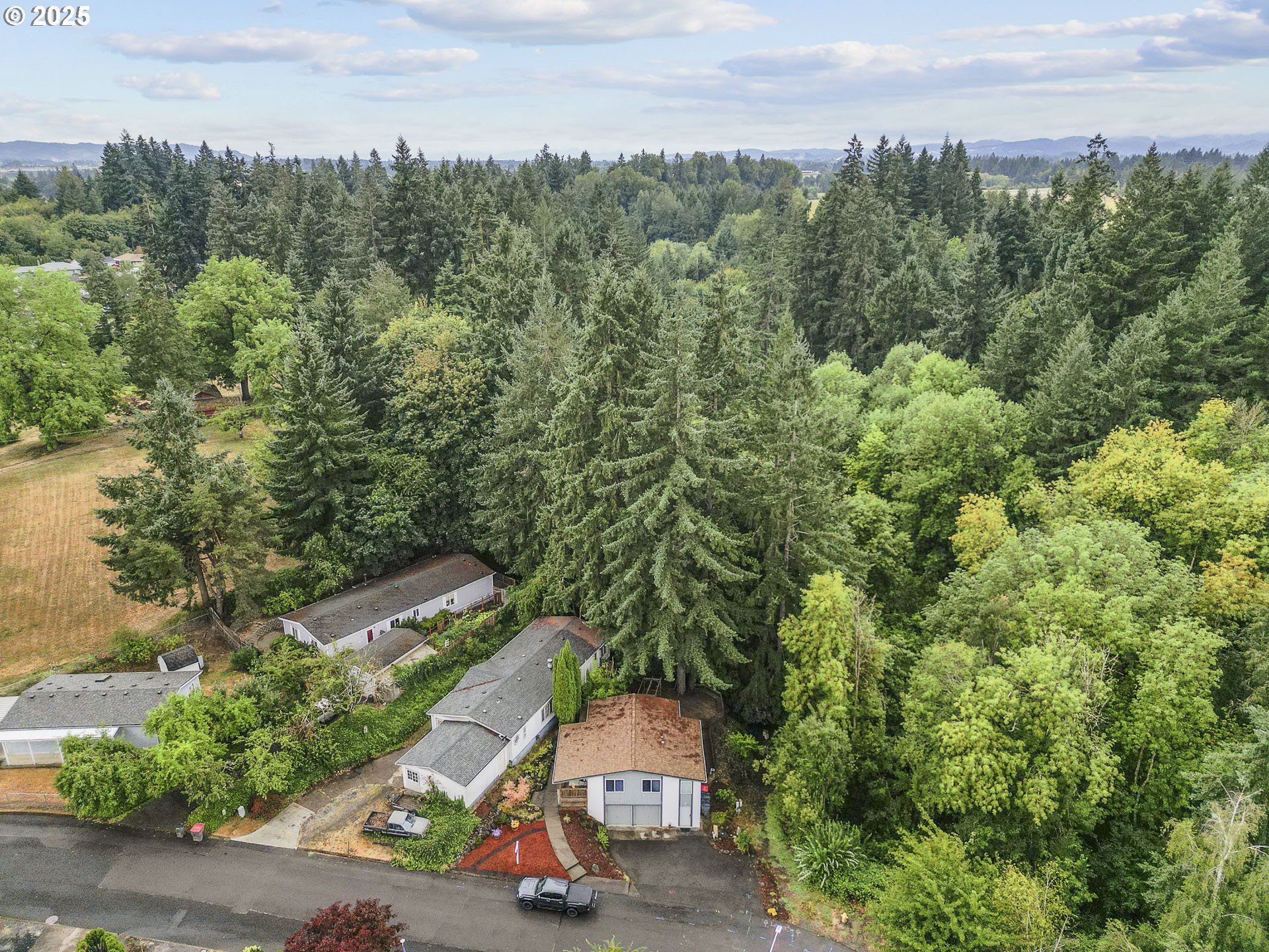 287 Canyon View Drive Lafayette, OR 97127 - Photo 7 of 33 an aerial view of a house with a yard and large trees