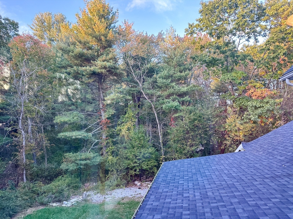 125 Maple Street Carlisle, MA 01741 - Photo 19 of 35 a view of a yard