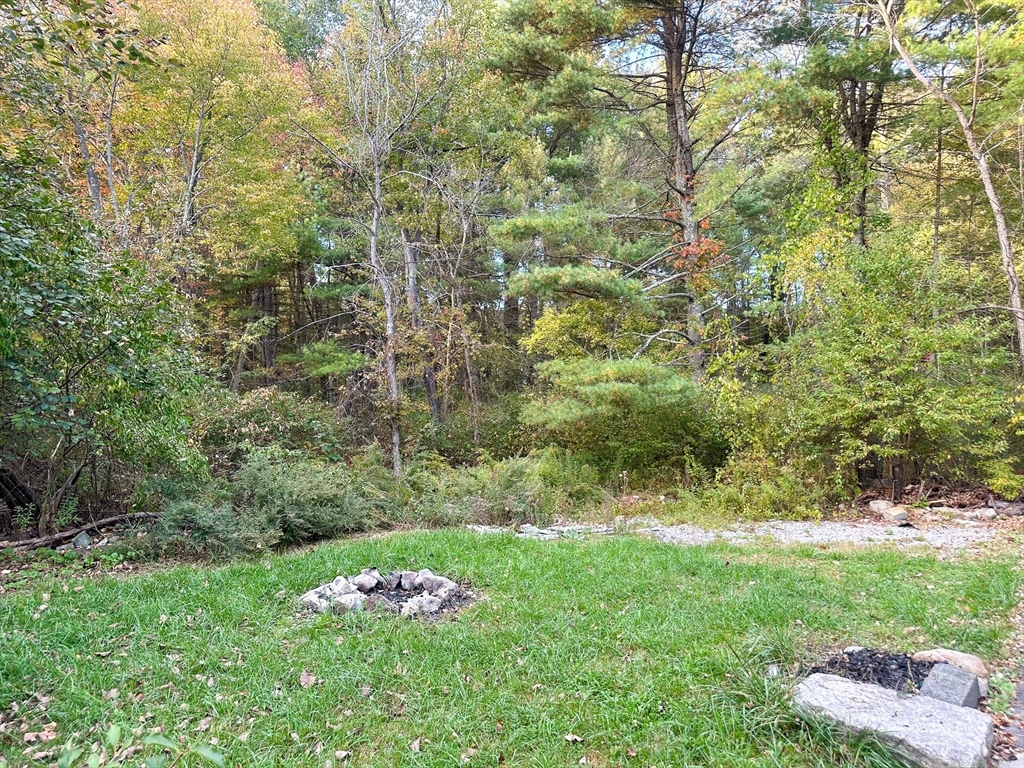 125 Maple Street Carlisle, MA 01741 - Photo 25 of 35 a green field with lots of bushes