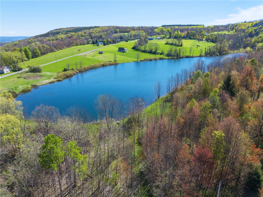 162 Fancher Road Summit, NY 12149 - Photo 48 of 50