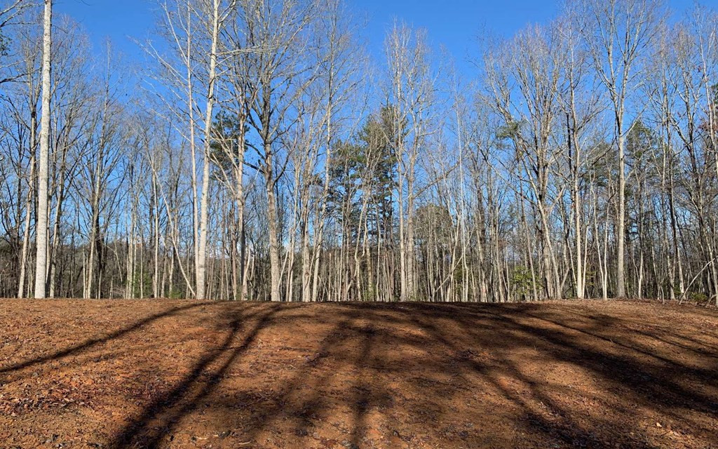 7-acres Payne Road Brasstown, NC 28902 - Photo 37 of 57 Gallery Image 37