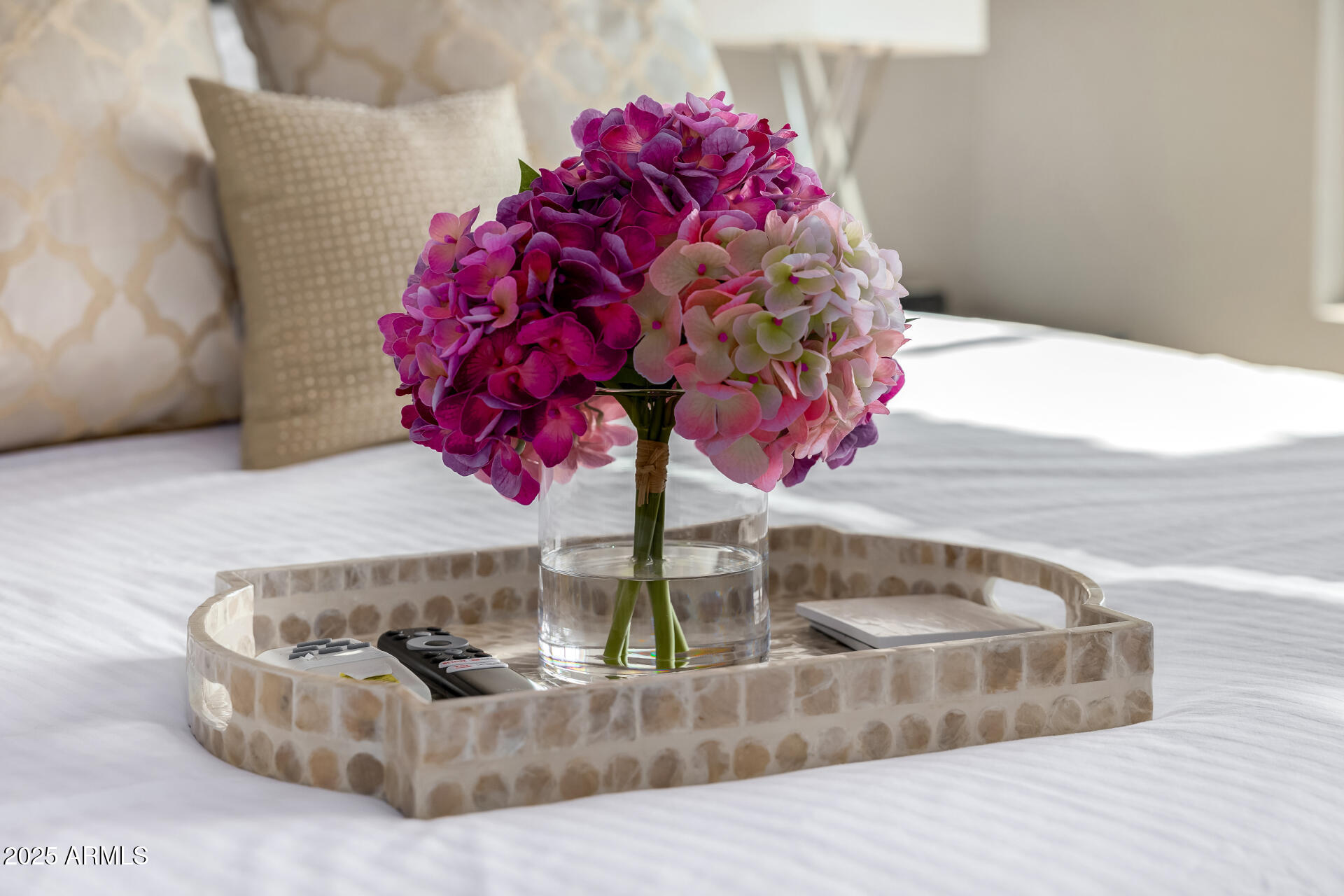 8245 East Bell Road, Unit 217 Scottsdale, AZ 85260 - Photo 25 of 46 Details