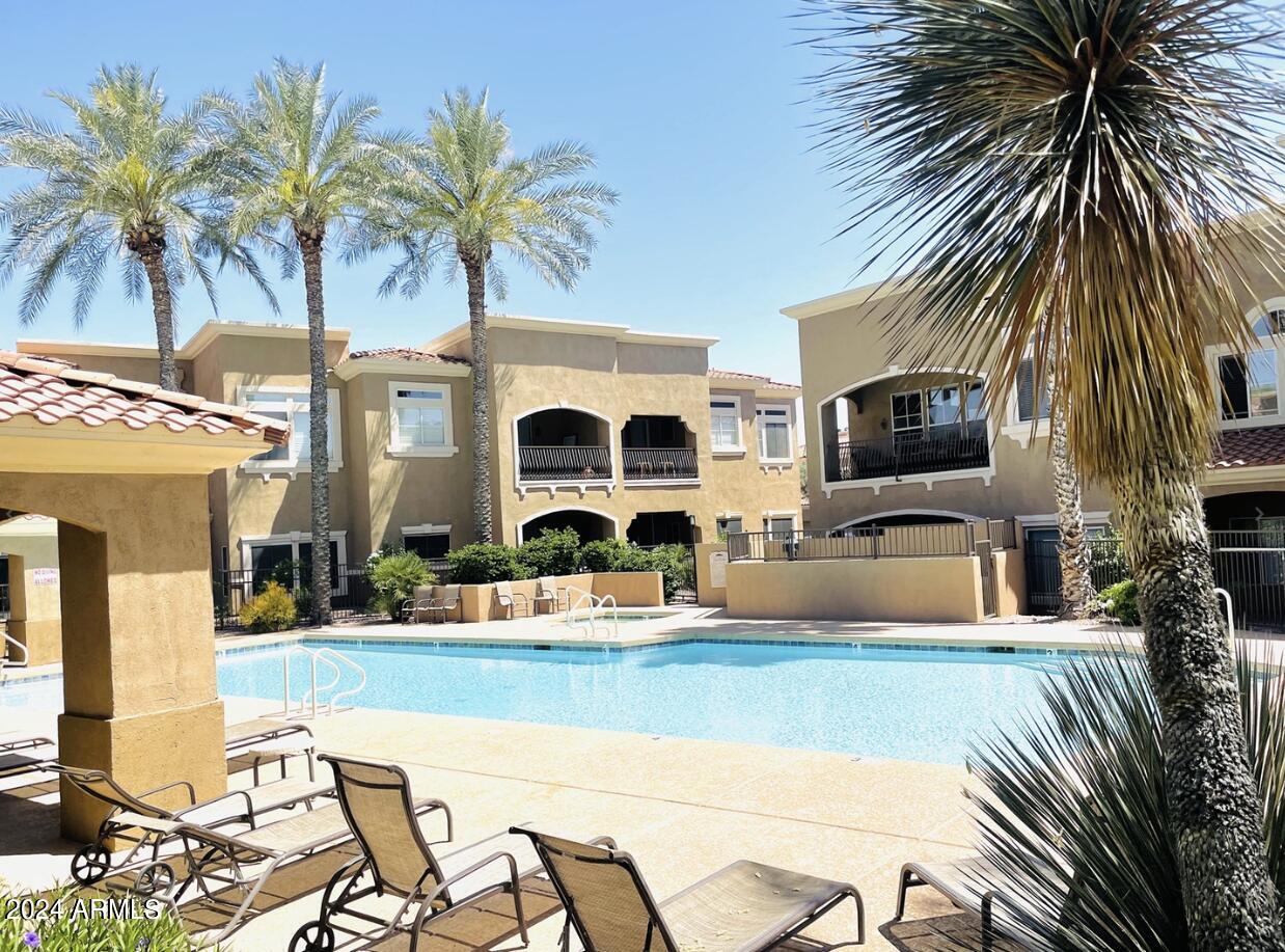 8245 East Bell Road, Unit 217 Scottsdale, AZ 85260 - Photo 4 of 46 Community Pool