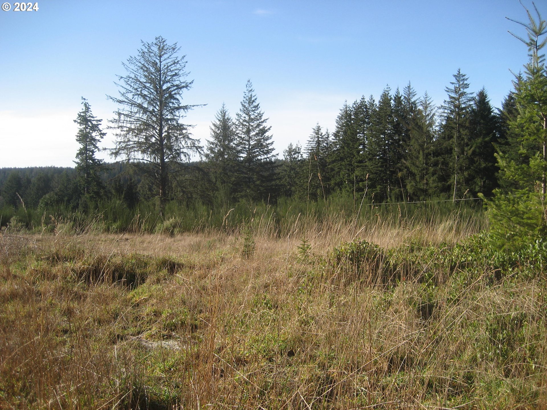 83615 Clear Lake Road, Unit 13 Florence, OR 97439 - Photo 8 of 29