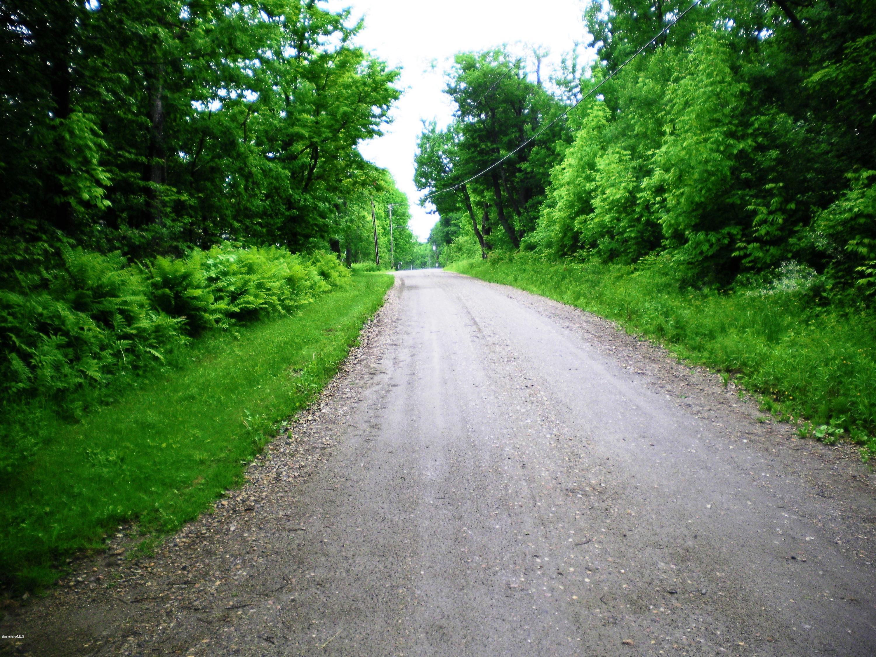7 Pierce Road Peru, MA 01235 - Photo 11 of 29 a view of a road with a yard