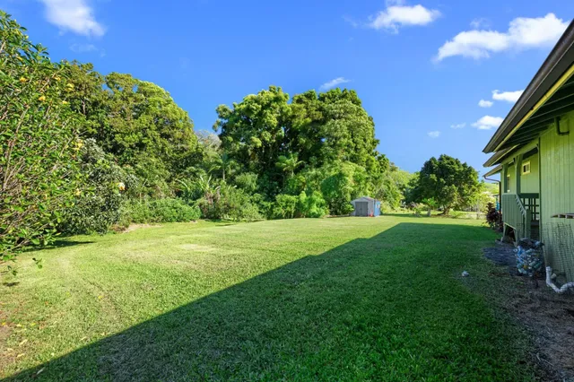 a view of a field with a tree in the background