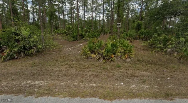 $25,000 | 2214 Canton Avenue, Alva, FL 33920