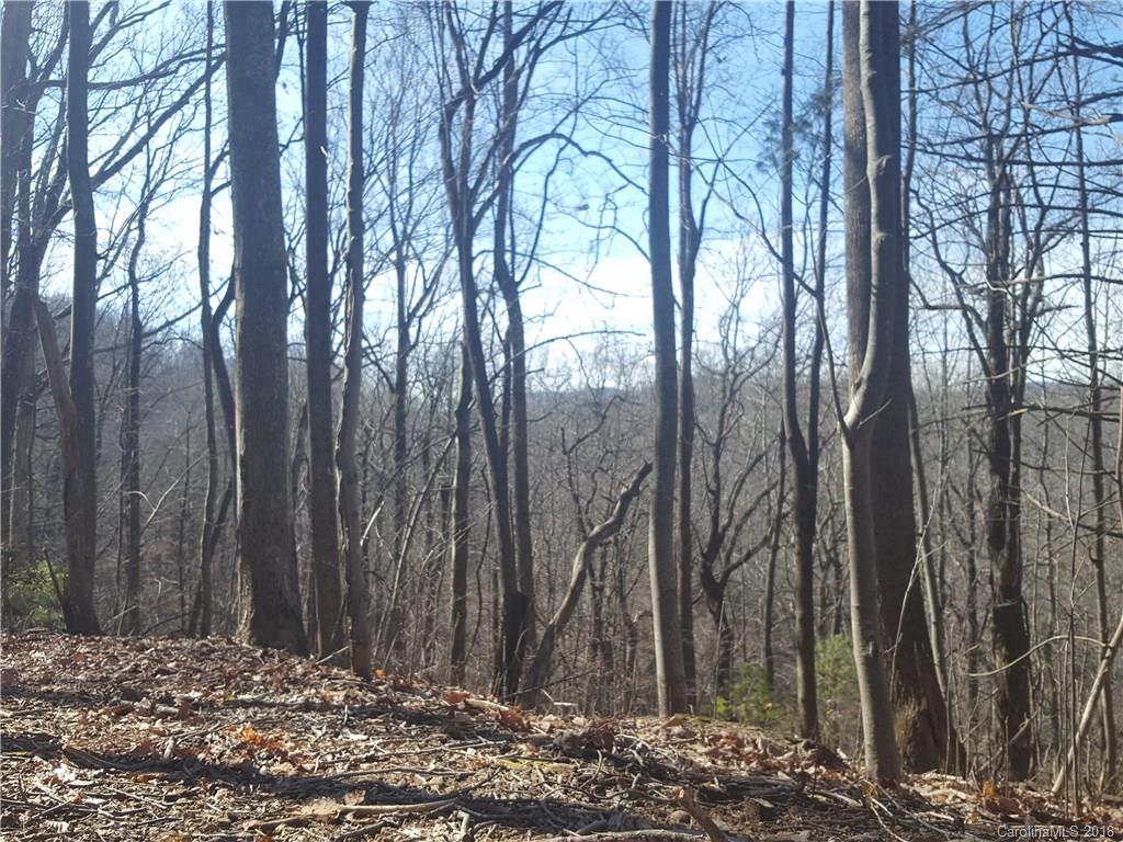 770 Pearson Falls Road Saluda, NC 28773 - Photo 14 of 32 Gallery Image 14