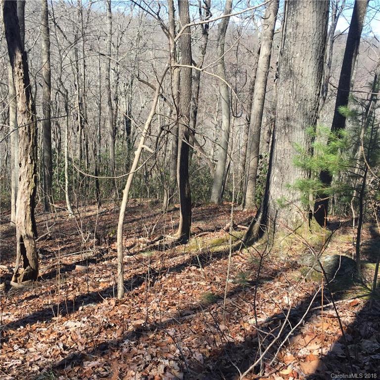 770 Pearson Falls Road Saluda, NC 28773 - Photo 3 of 32 Gallery Image 3