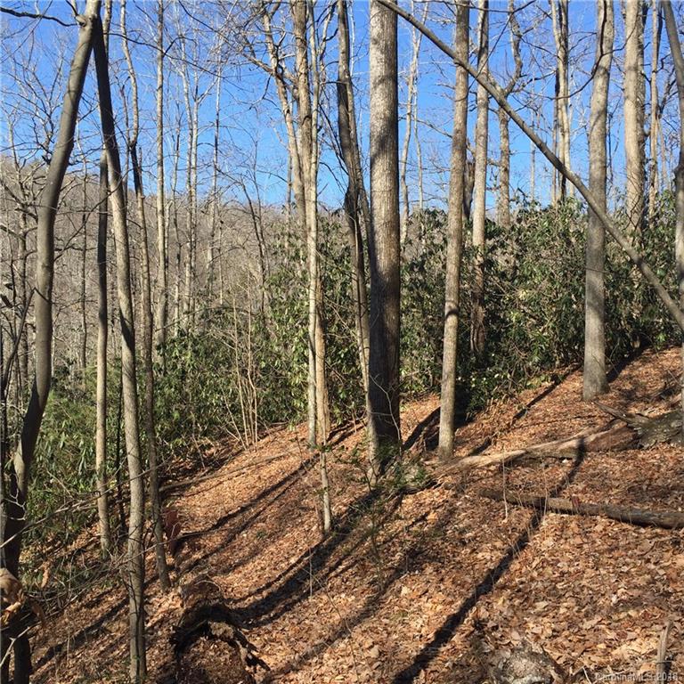 770 Pearson Falls Road Saluda, NC 28773 - Photo 4 of 32 Gallery Image 4
