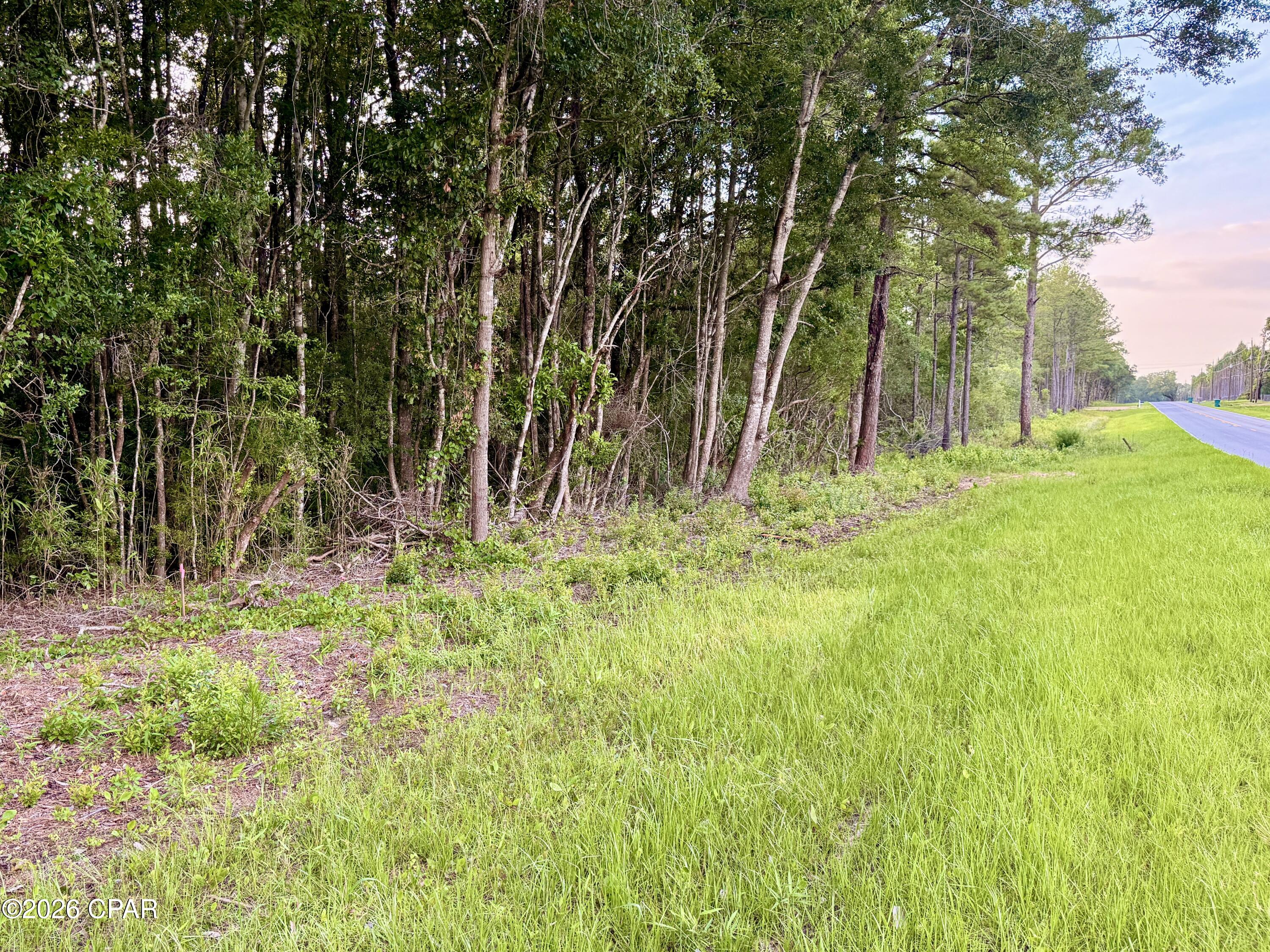 0 Shell Landing Road Vernon, FL 32462 - Photo 2 of 4