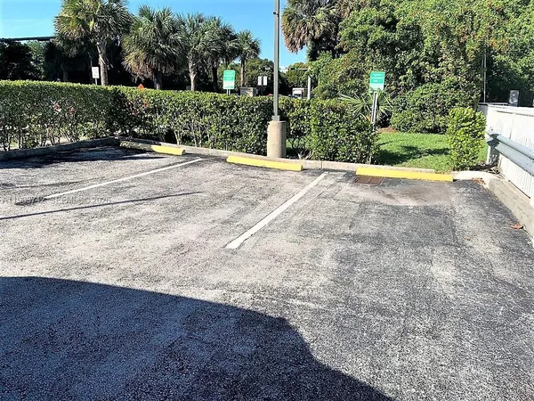 a view of a garden with pathway