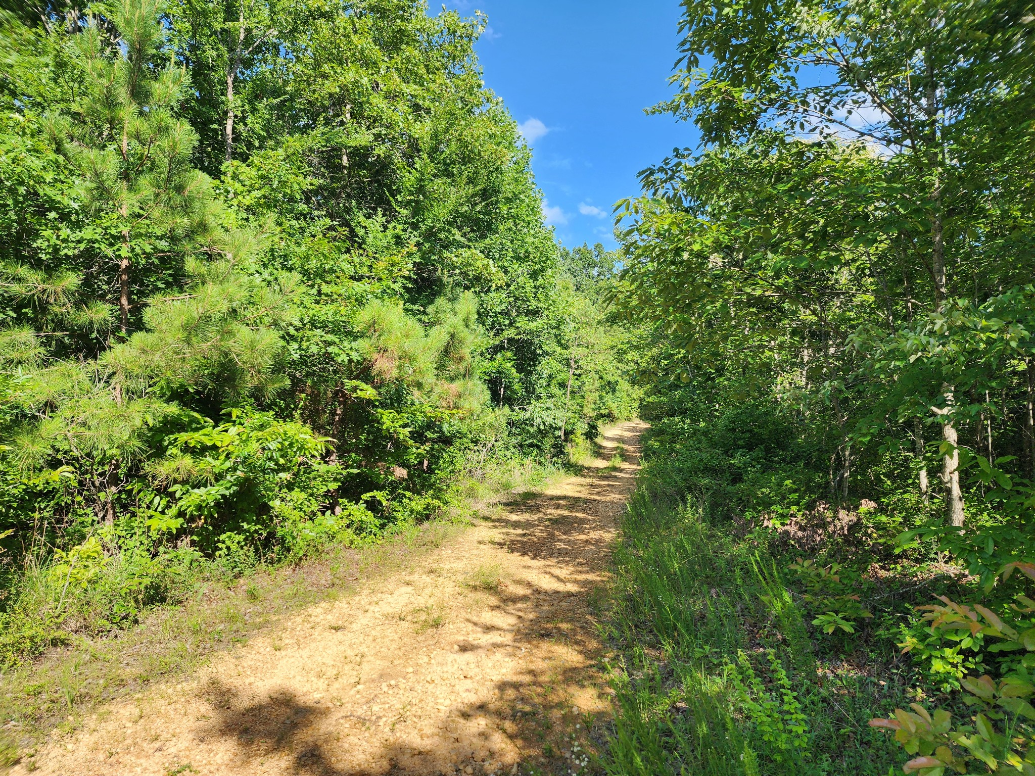 0 Sinking Creek Road Linden, TN 37096 - Photo 4 of 23