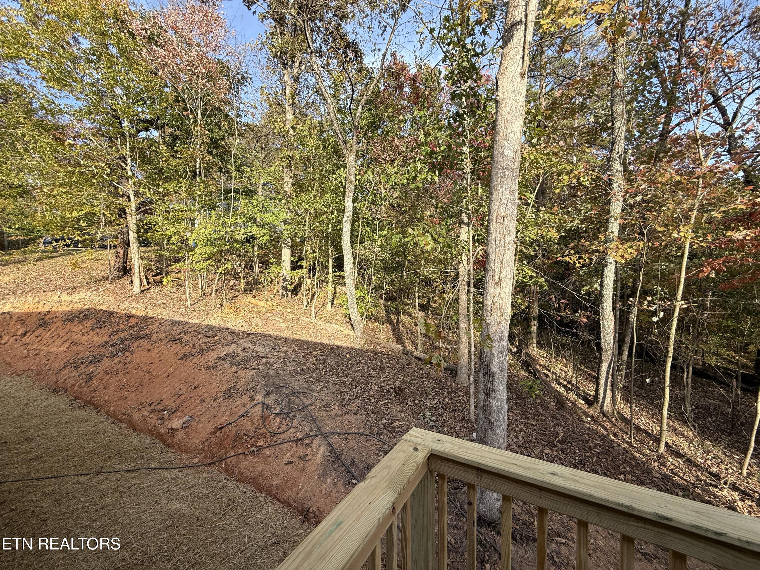 112 Clear Springs Road Harriman, TN 37748 - Photo 28 of 31 IMG_4157