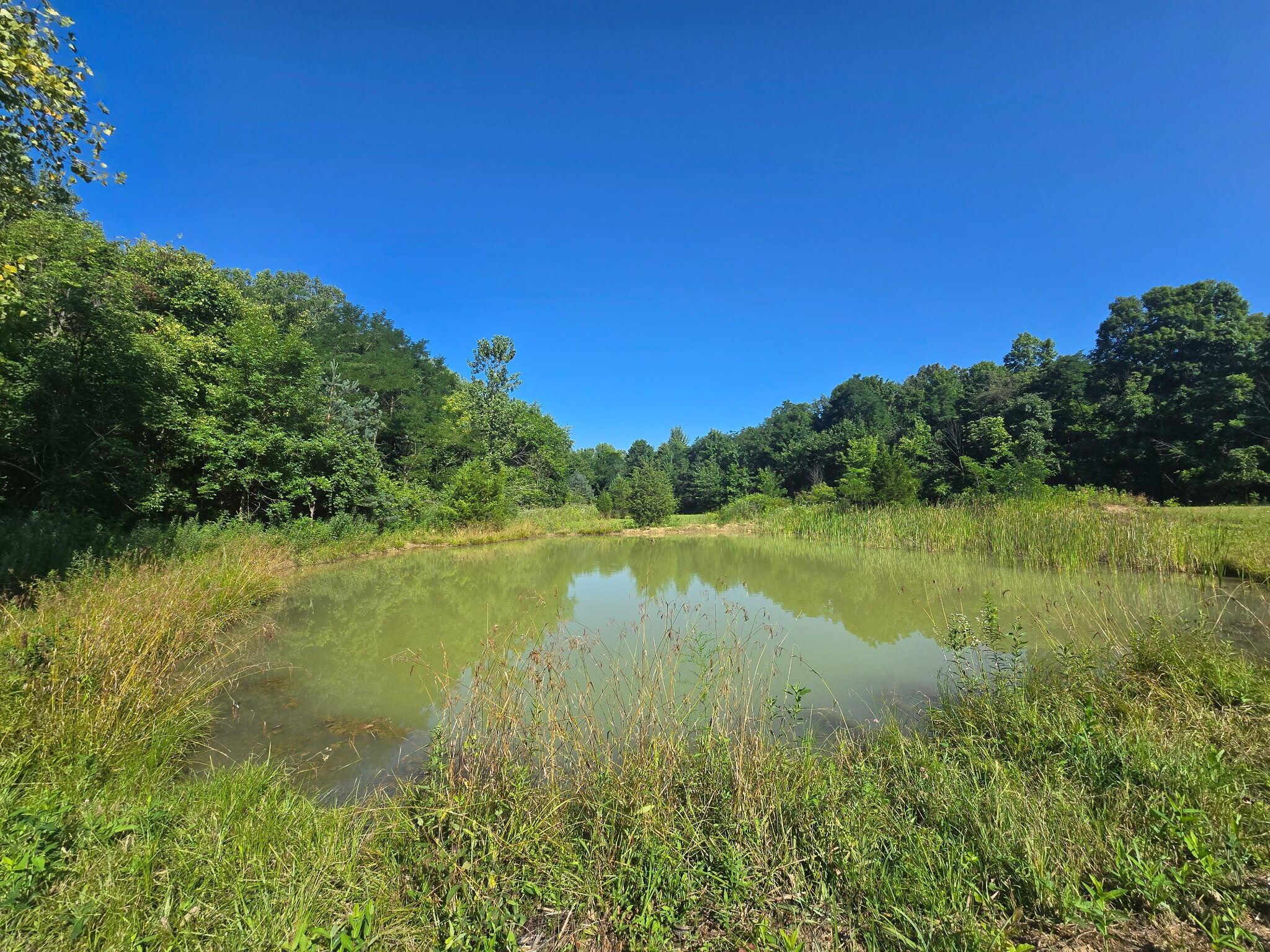 The Pond.