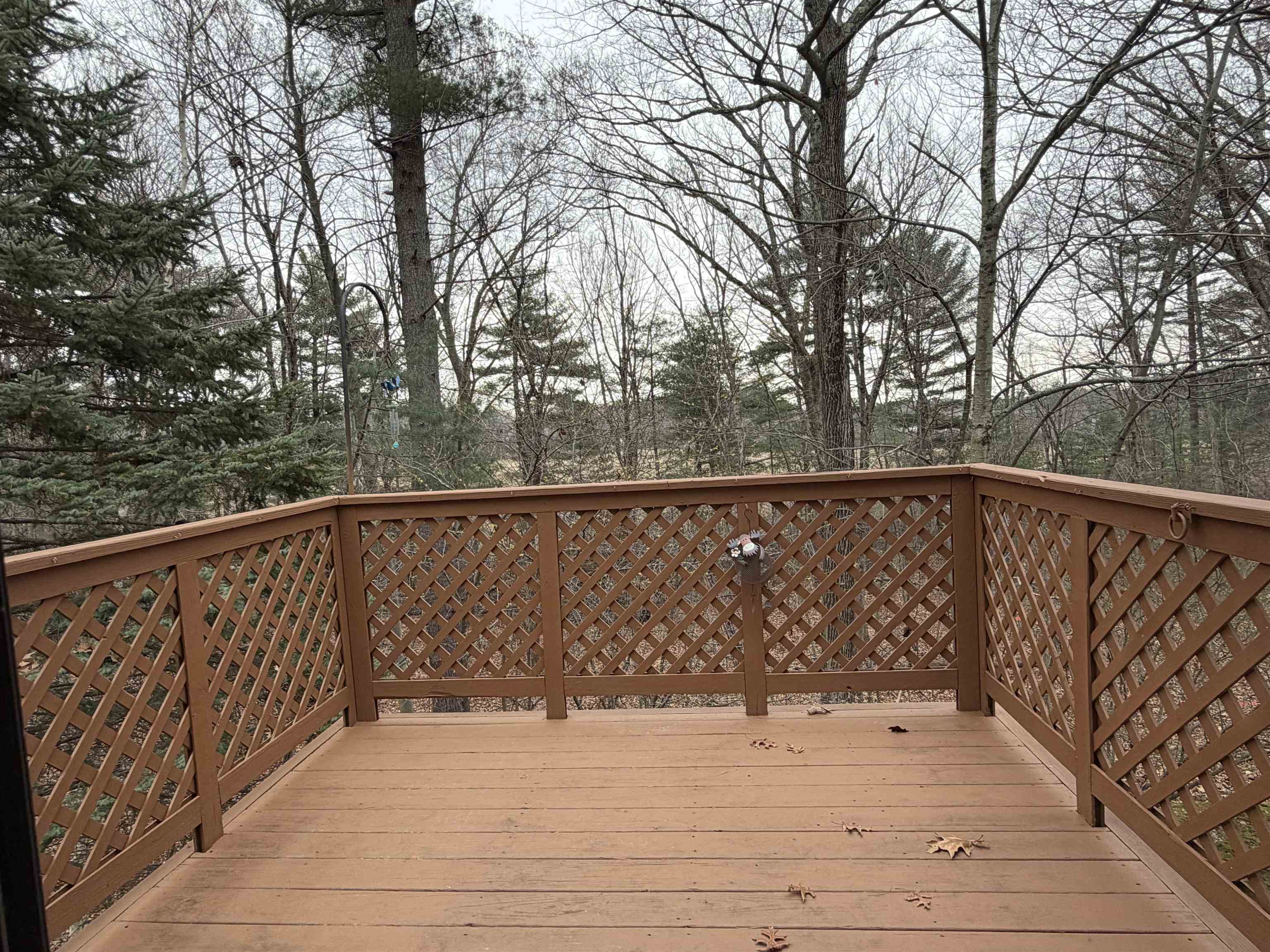 17 Bayberry Drive Atkinson, NH 03811 - Photo 19 of 39