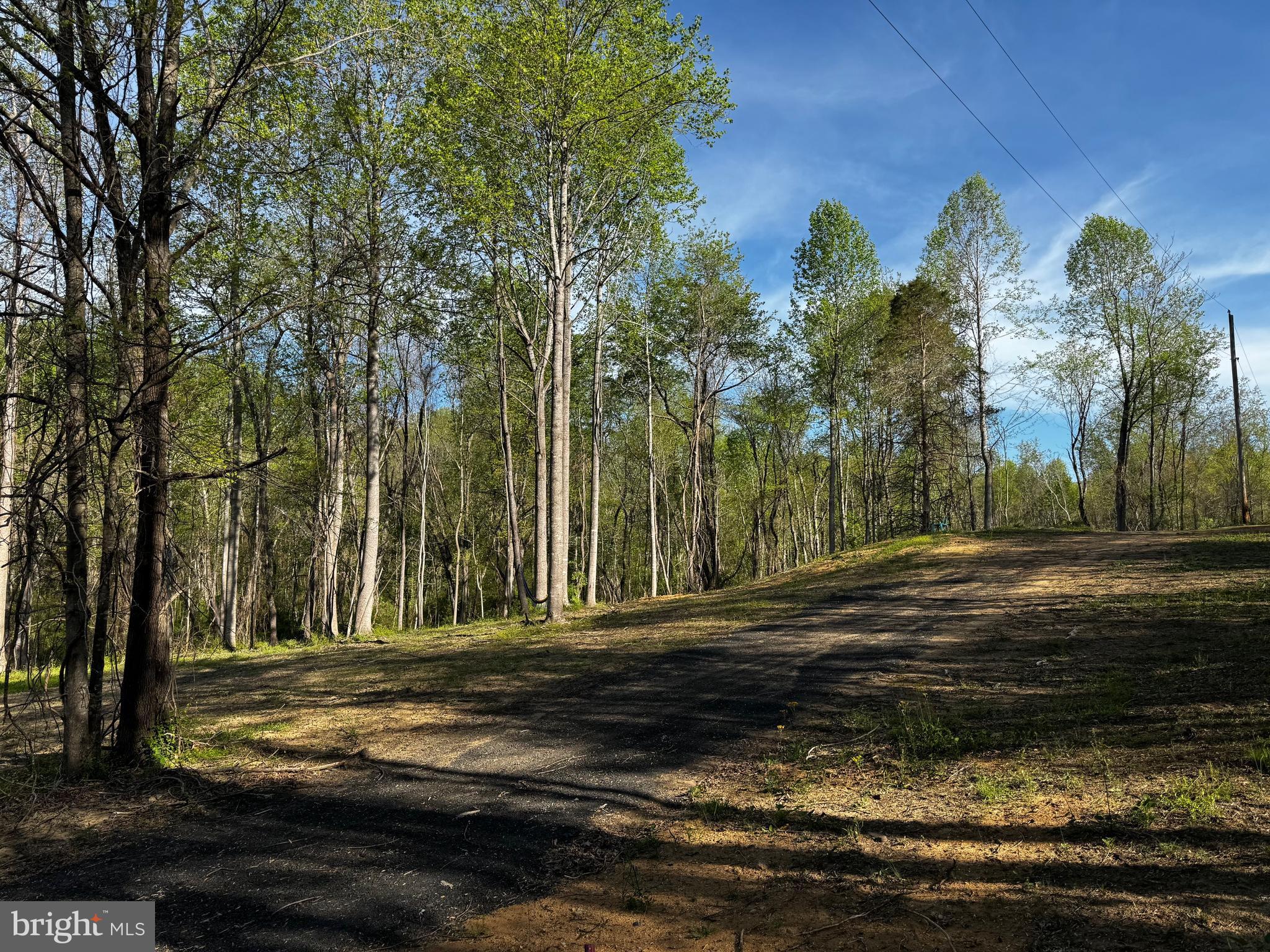 0 Flatwood Lane Washington, VA 22747 - Photo 2 of 13 a view of a yard with large trees