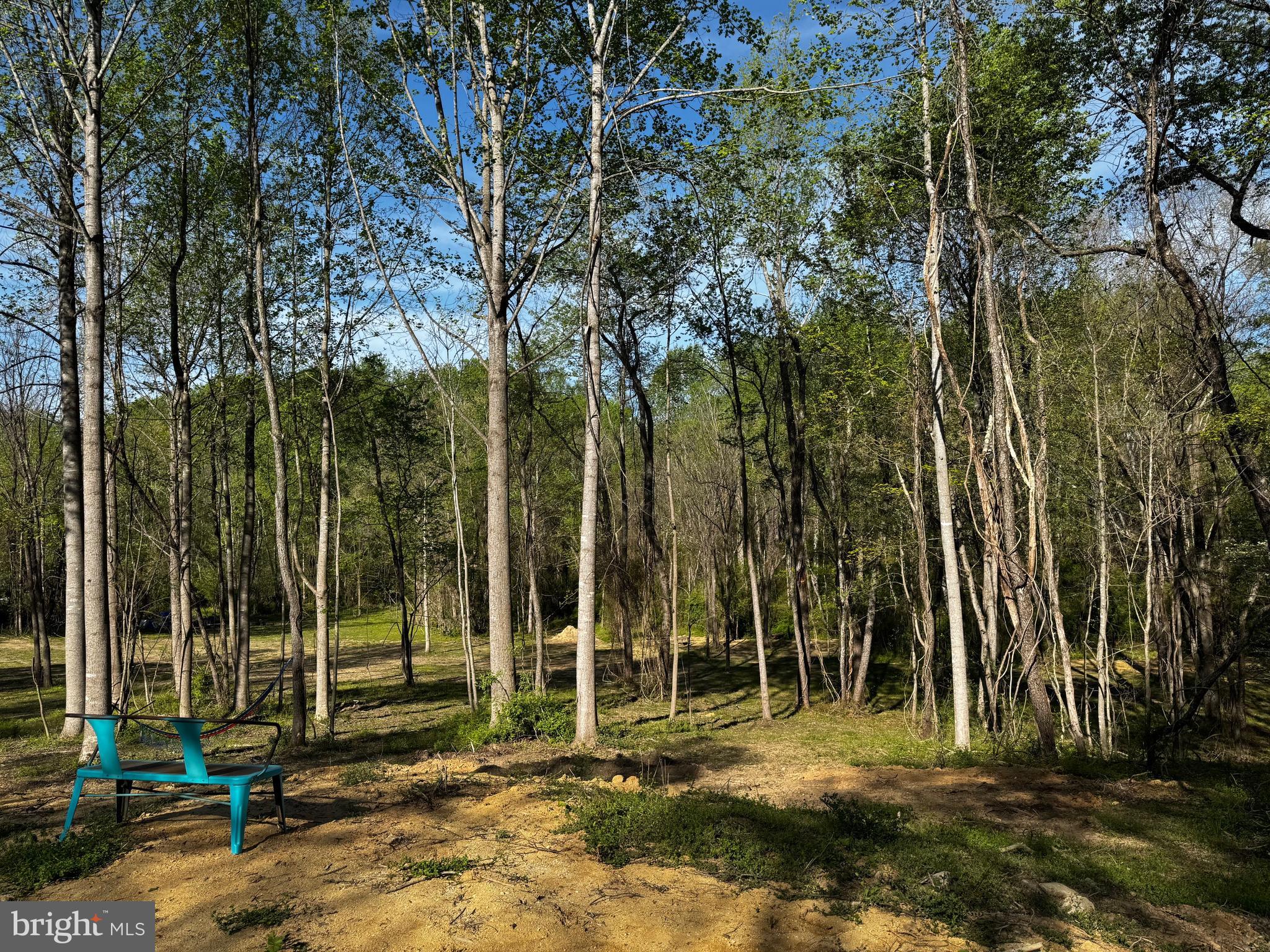 0 Flatwood Lane Washington, VA 22747 - Photo 3 of 13 a view of a park with a tree