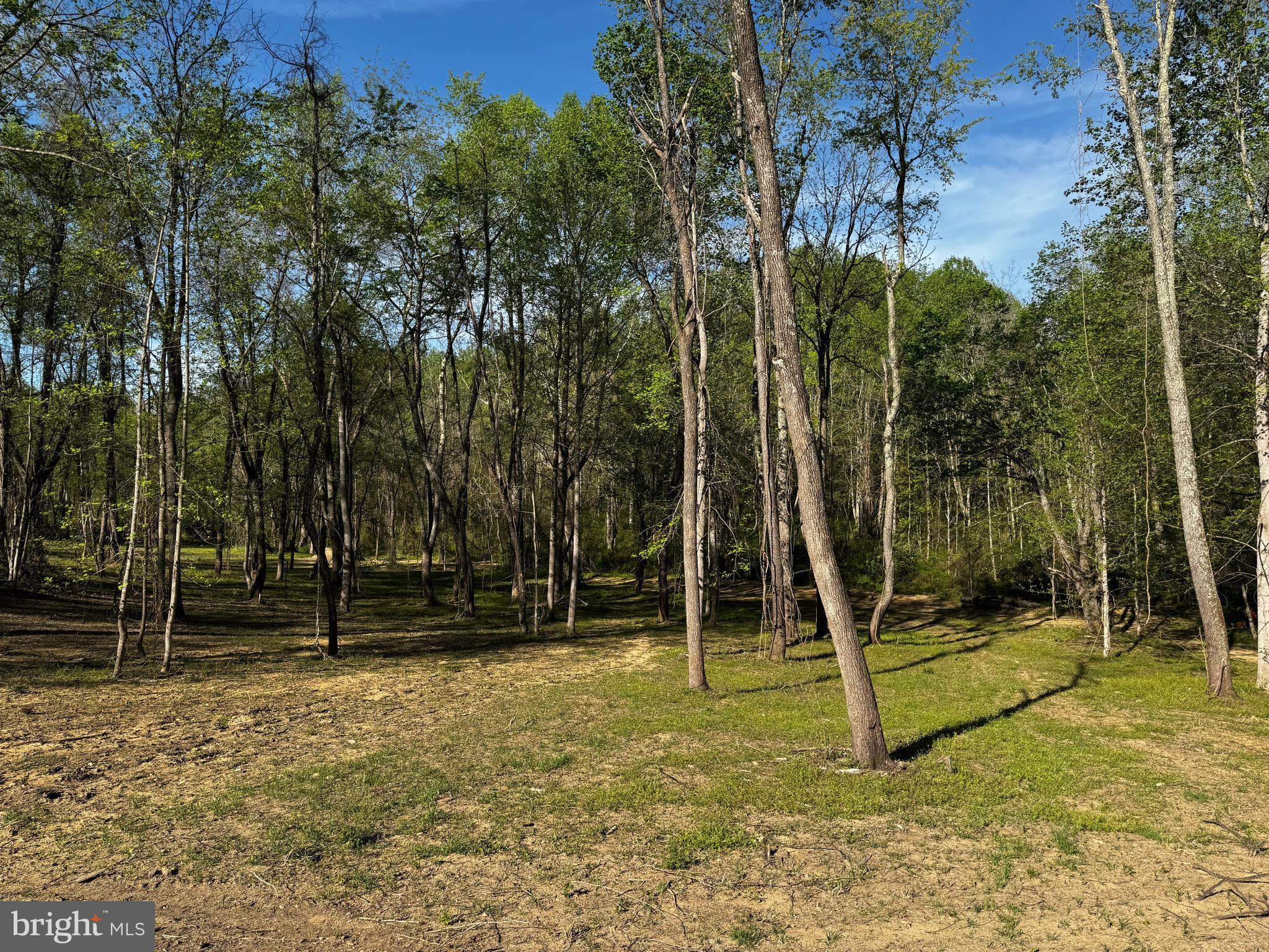 0 Flatwood Lane Washington, VA 22747 - Photo 4 of 13 a backyard of a house with lots of trees