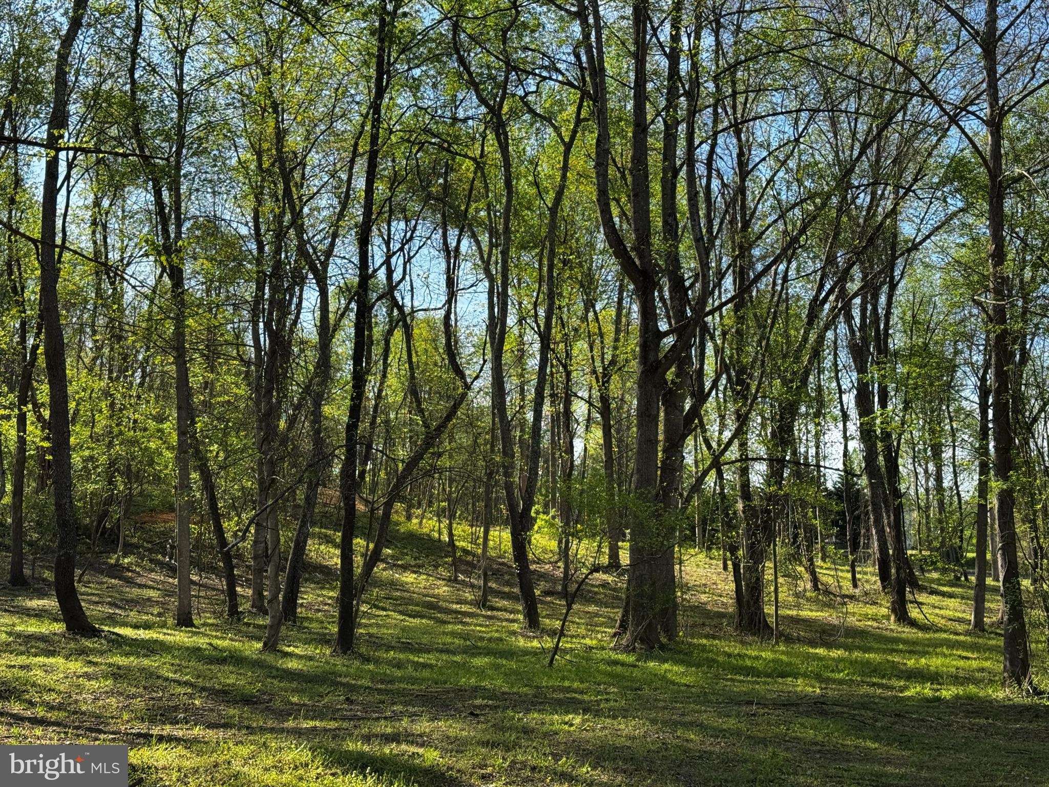 0 Flatwood Lane Washington, VA 22747 - Photo 5 of 13