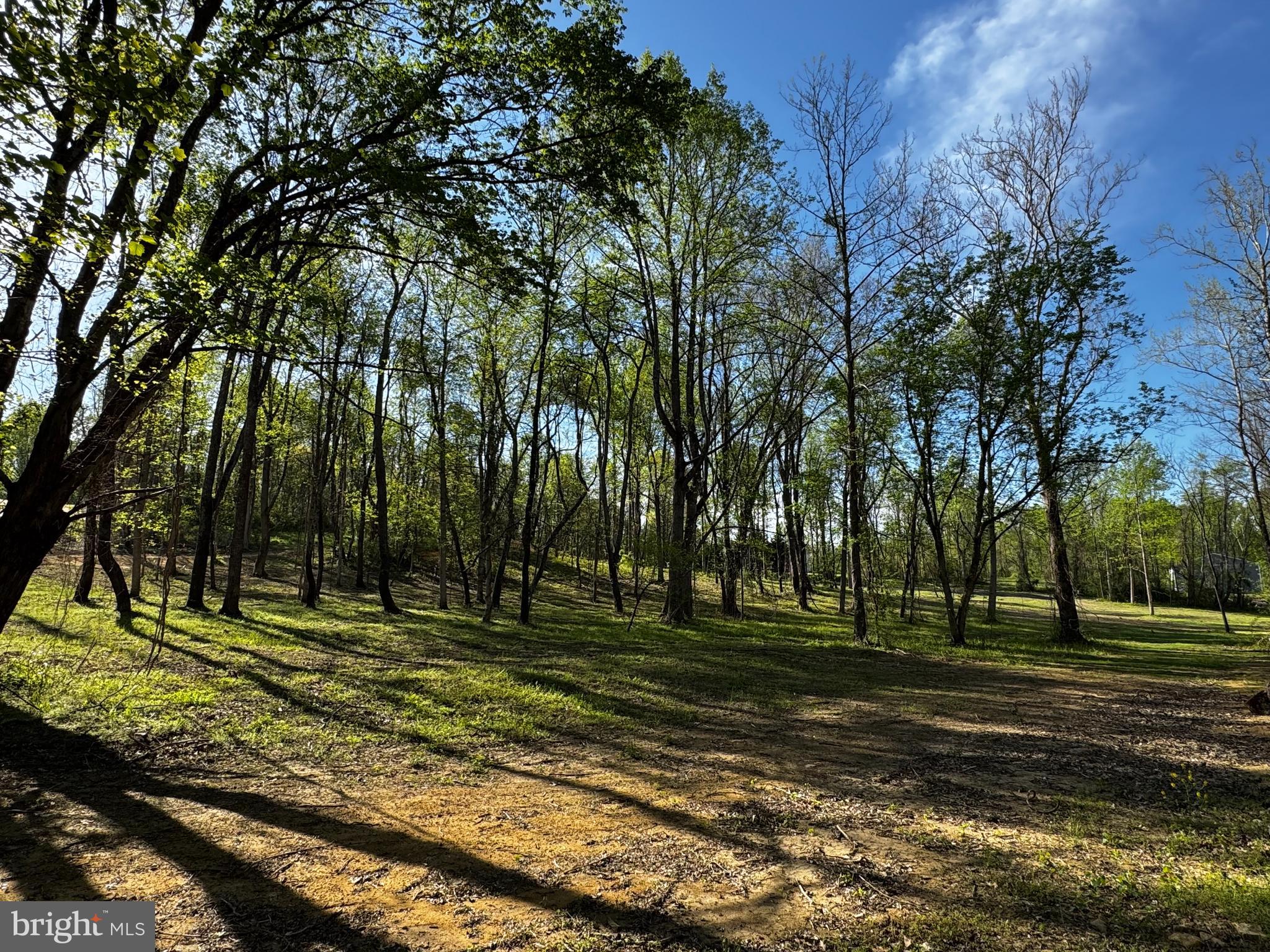 0 Flatwood Lane Washington, VA 22747 - Photo 6 of 13 a backyard of a house with lots of green space and trees