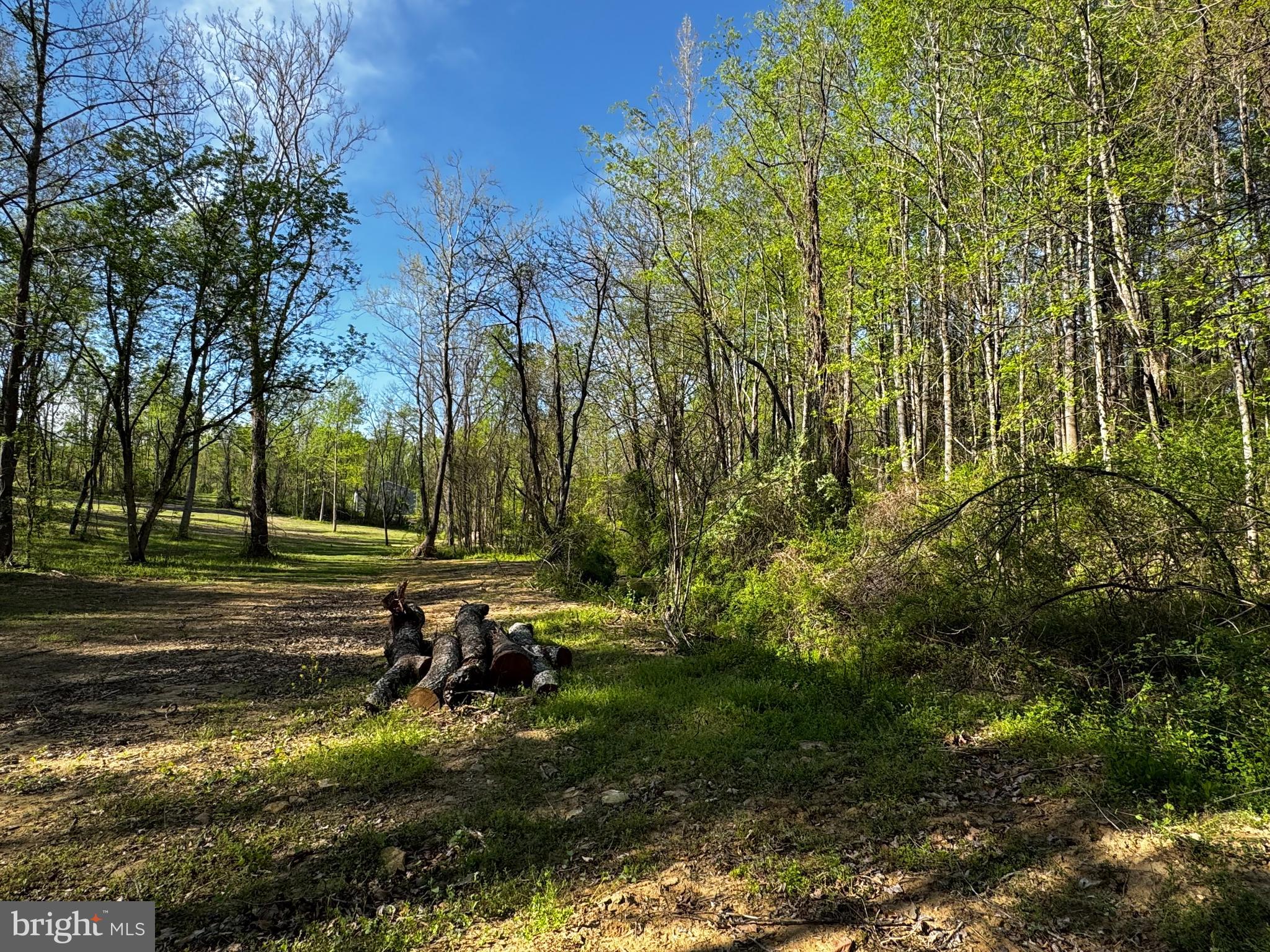 0 Flatwood Lane Washington, VA 22747 - Photo 7 of 13 a view of yard