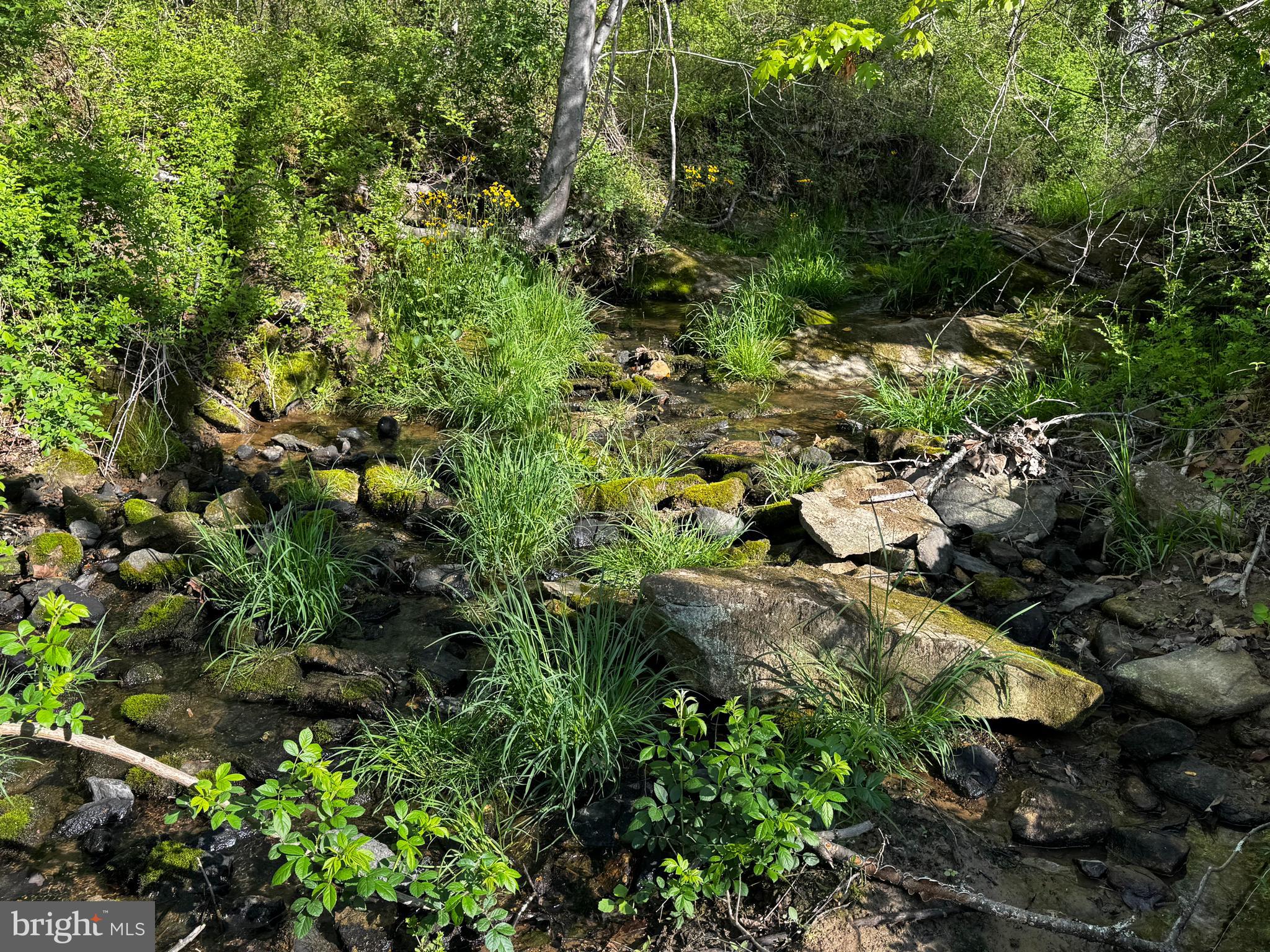 0 Flatwood Lane Washington, VA 22747 - Photo 9 of 13