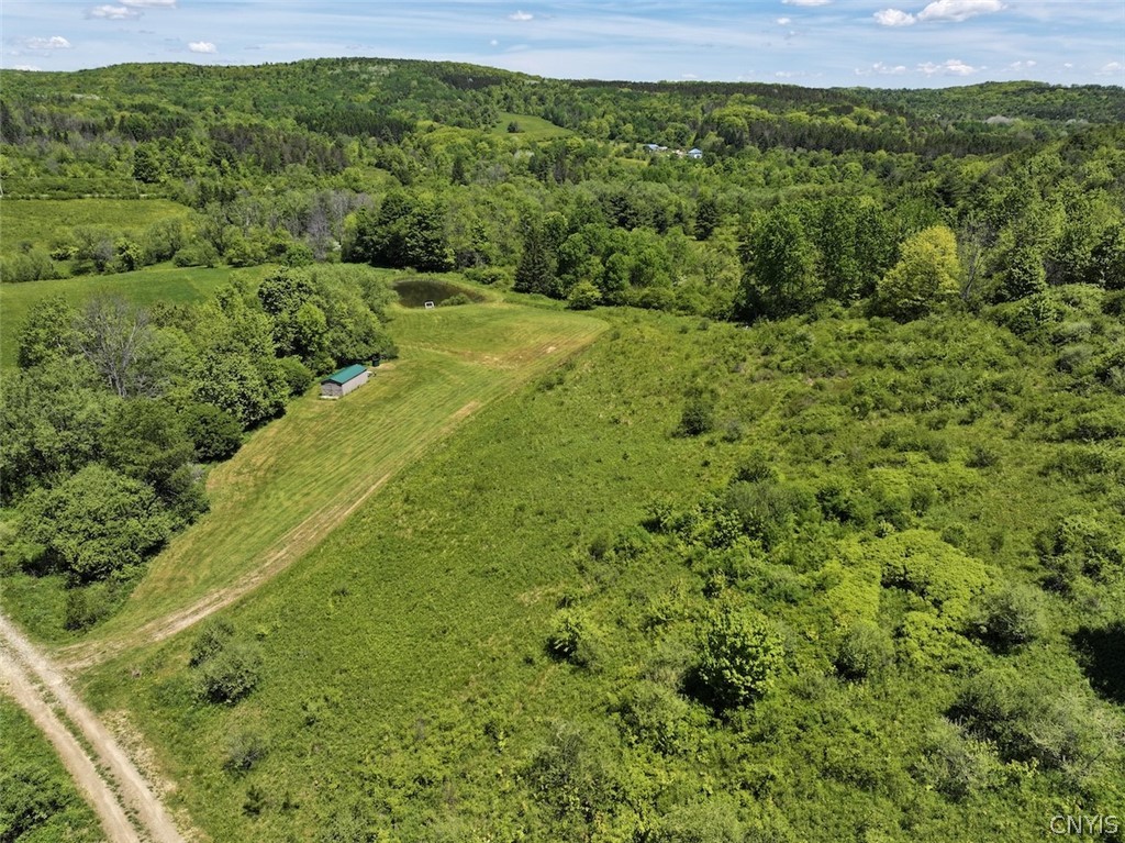 North Branch Road Friendship, NY 14739 - Photo 6 of 27