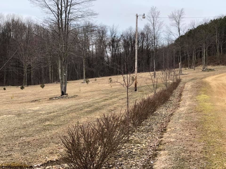 - Bus Road New Bethlehem, PA 16242 - Photo 5 of 12