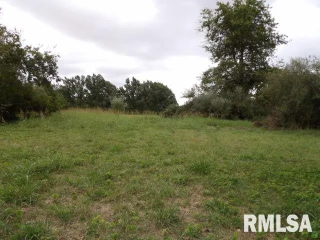 $18,000 | Ooo Moore Street, Eldorado, IL 62930