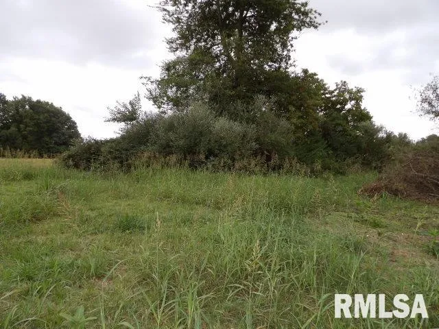 $18,000 | Ooo Moore Street, Eldorado, IL 62930