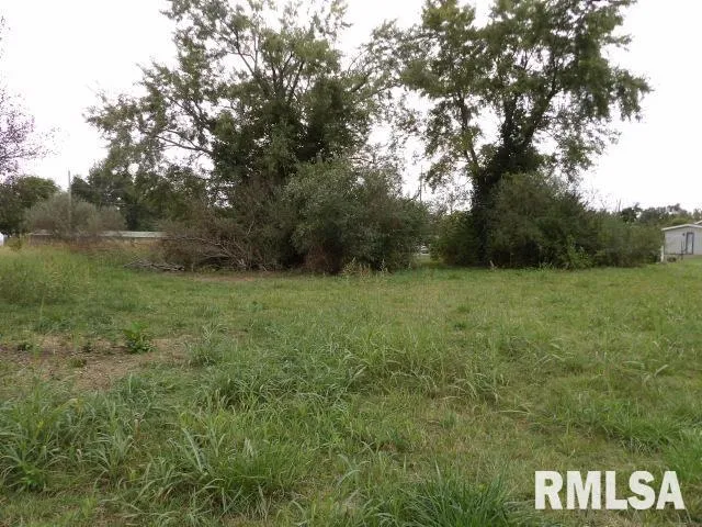 $18,000 | Ooo Moore Street, Eldorado, IL 62930