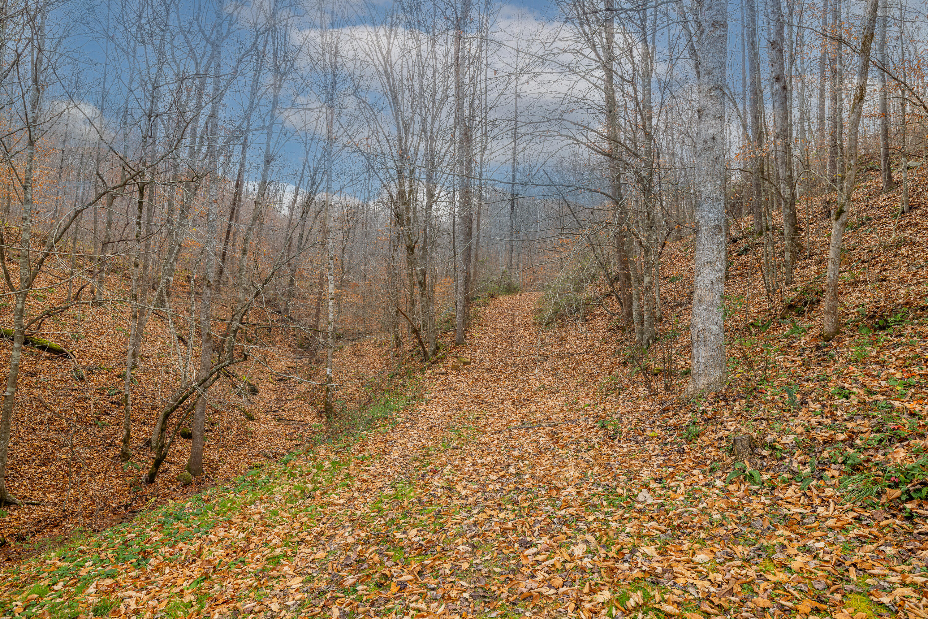 336 Big Branch Road Beattyville, KY 41311 - Photo 32 of 66 1-40